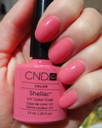 Shellac 1